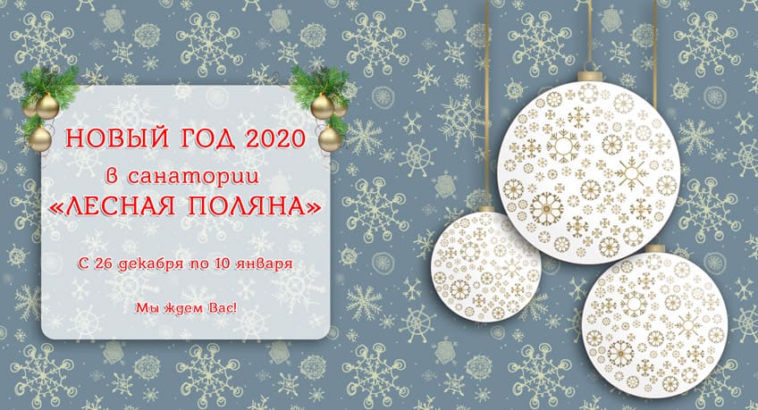 Новый год в санатории Лесная Поляна