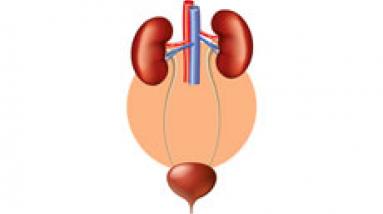 Болезни мочеполовой системы и урология