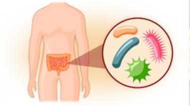 Дисбактериоз кишечника