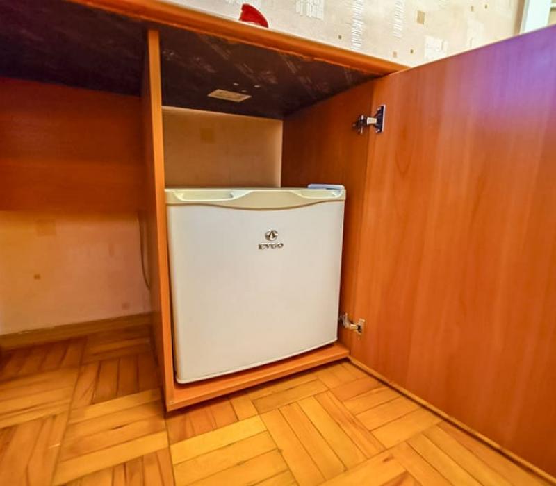 Холодильник в 1 местном 1 комнатном 1 категории, Корпус 2 санатория Лесная Поляна в Пятигорске