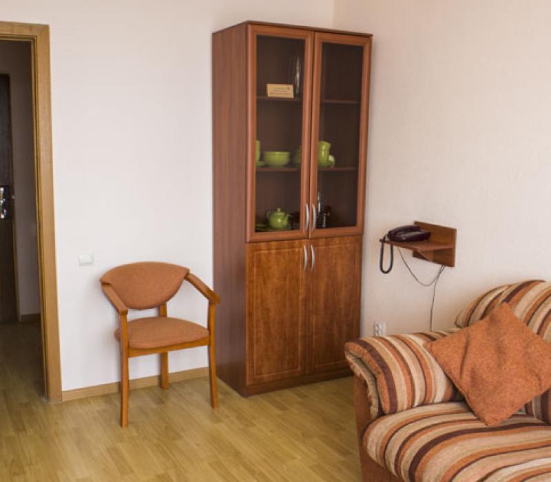 Интерьер гостиной 2 местного 2 комнатного 1 категории, Корпус 10 А санатория Родник. Пятигорск