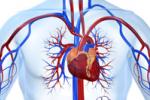Болезни системы кровообращения и сердечно-сосудистой системы